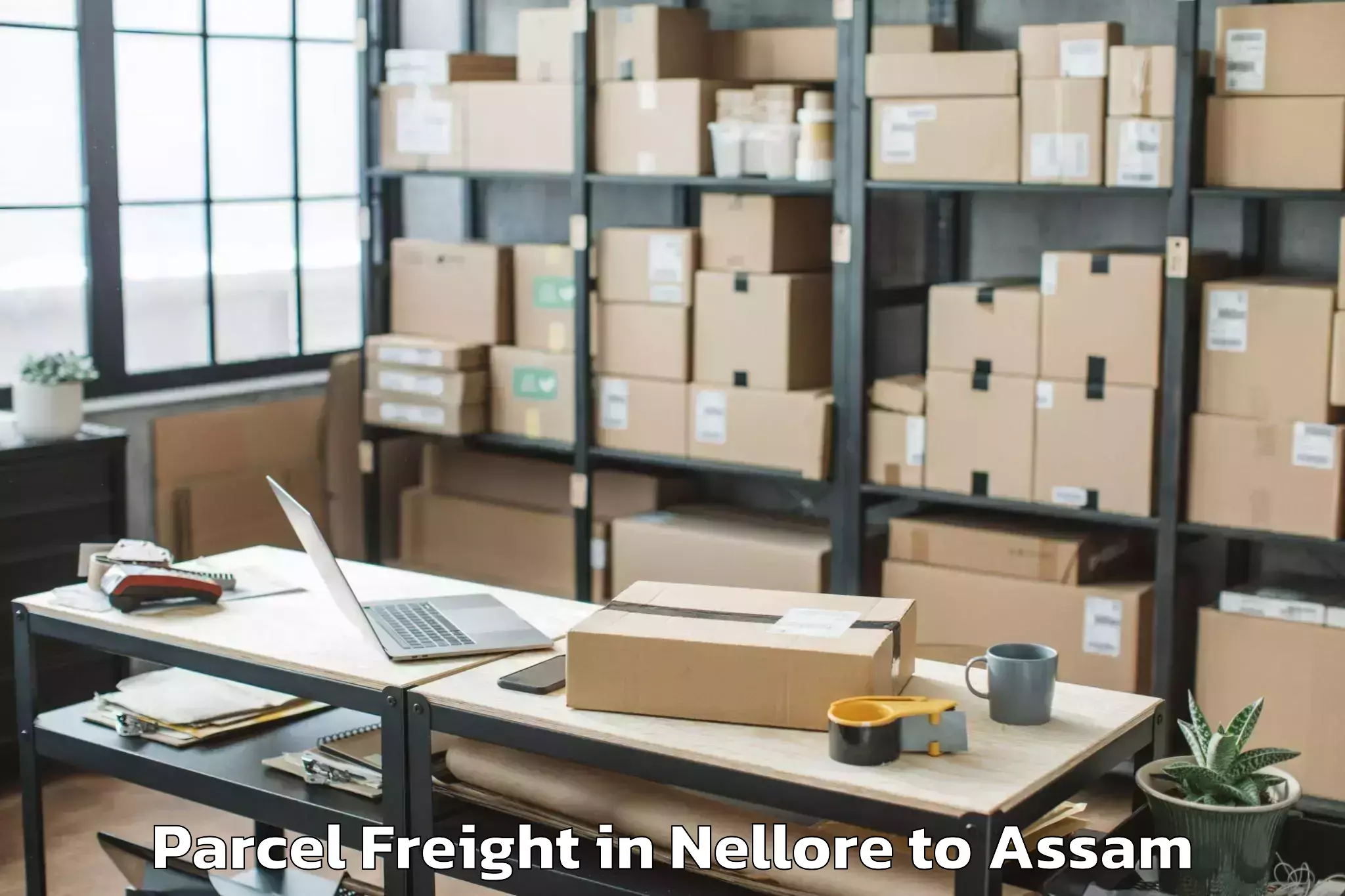 Easy Nellore to Barpathar Parcel Freight Booking